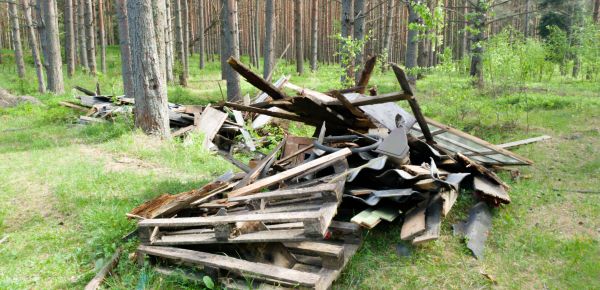 Debris Removal Service in Cranston